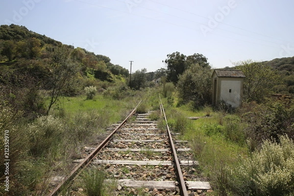 Fototapeta vias