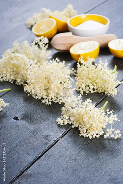 Fototapeta elder flower juice ingredients on  black wood table background