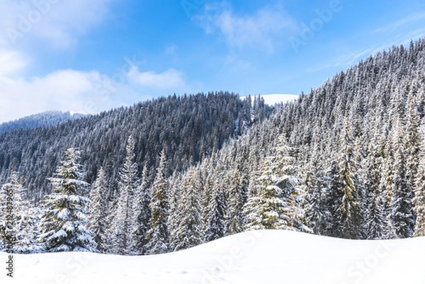 Fototapeta Winter landscape with fresh snow on the trees