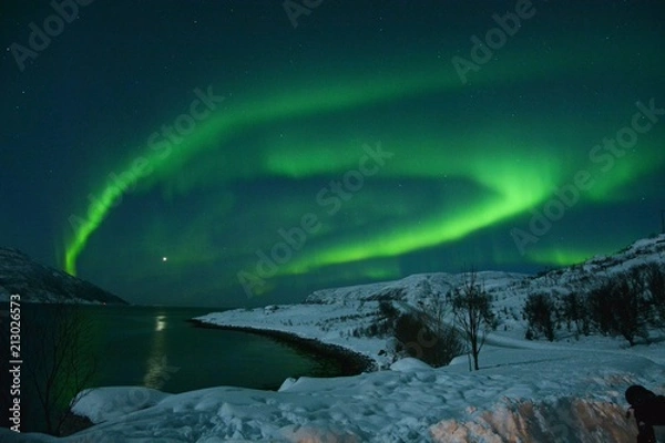 Obraz The northern lights (Aurora Borealis) over Seljelvnes, Troms by the sea and the snowy mountains