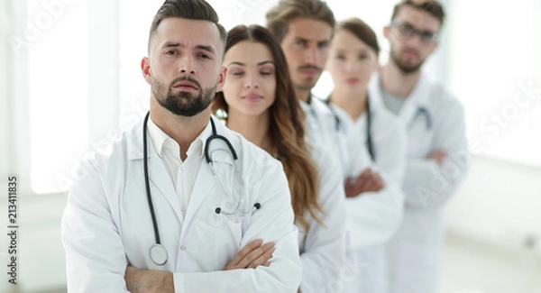 Fototapeta Portrait of medical team standing together