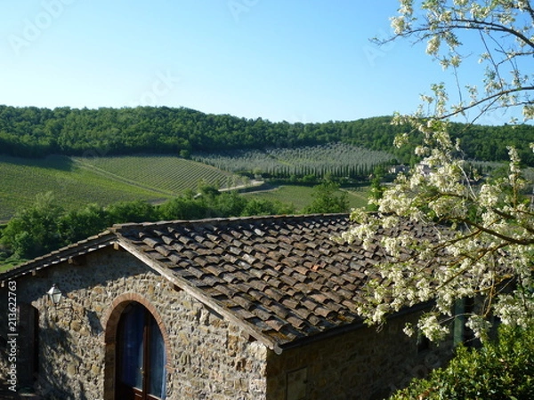 Fototapeta Rural landscape