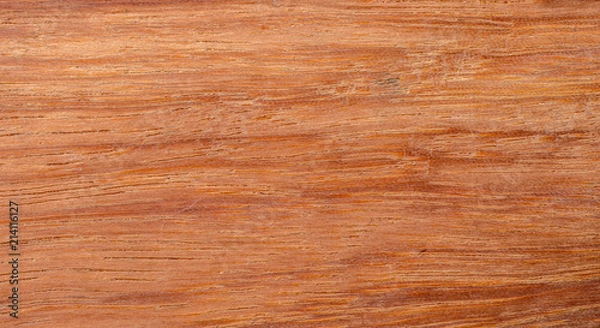 Obraz Light wood texture background surface with old natural pattern or old wood texture table top view. Grain surface of wood texture.