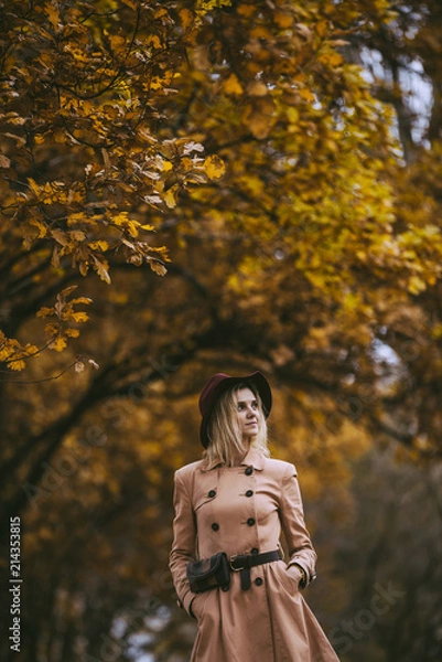 Fototapeta Stylish woman in the autumn park with yellow leaves