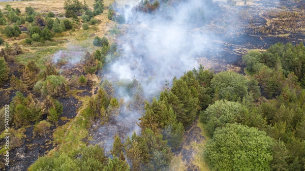 Fototapeta Aerial drone view of a wildfire in a grass and forested area