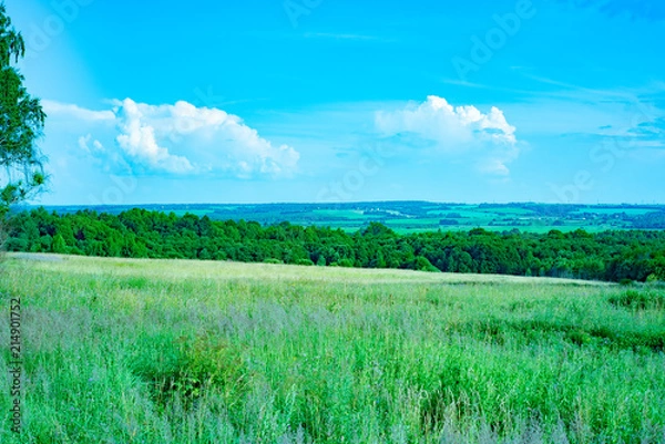 Fototapeta sergiev_posad.  Nature_of_moscow_region_summer_2018. Distance and fresh air.