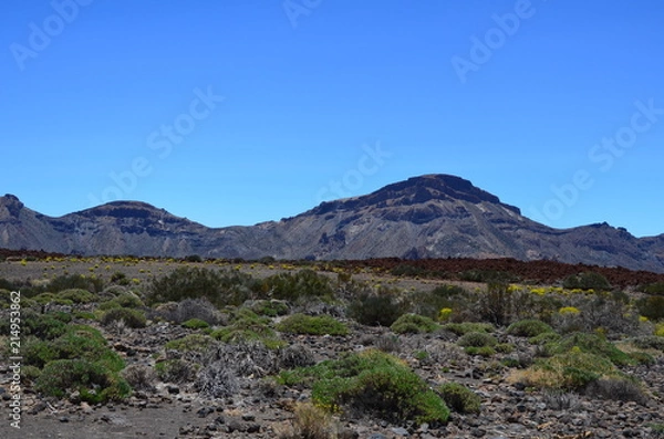 Fototapeta Teneriffa 2018