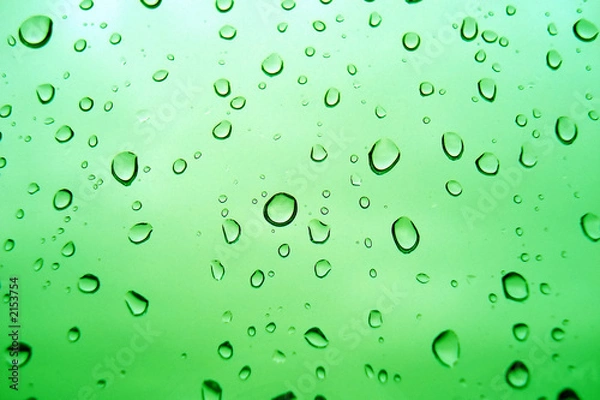 Fototapeta green condensation