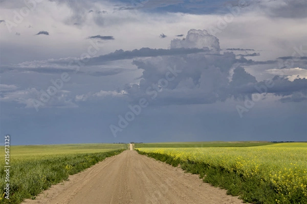 Fototapeta Prairie Storm Clouds