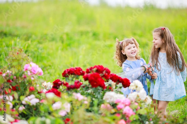 Fototapeta Two adorable little sisters watering rosarium garden together