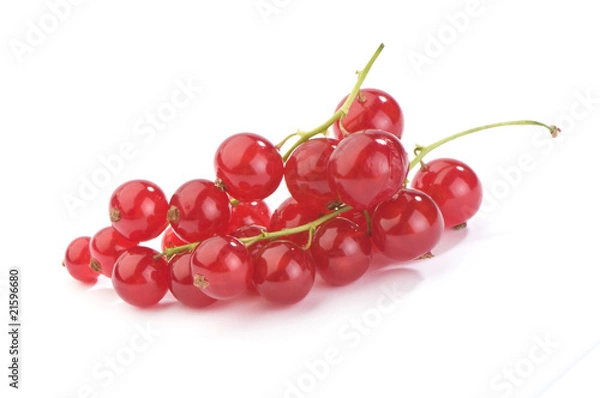 Fototapeta red currant  red currant close-up on white