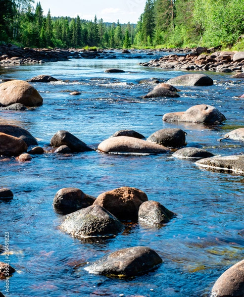 Fototapeta Symbolic picture: A riverbed in central Sweden