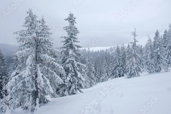 Fototapeta Landscape of a frosty beautiful day at mountains during snowfall.