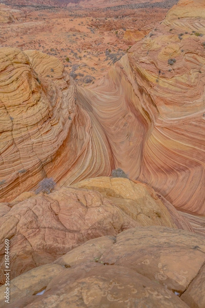 Fototapeta The Wave in Arizona. A magical place to visit!