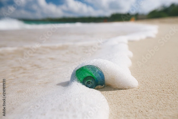 Fototapeta glass tropical sea  shell with waves under sun light