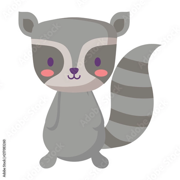 Fototapeta cute raccoon icon over white background, vector illustration