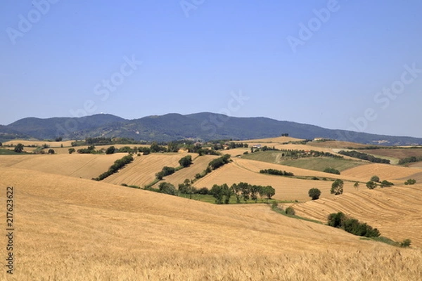 Fototapeta Paesaggio Toscano