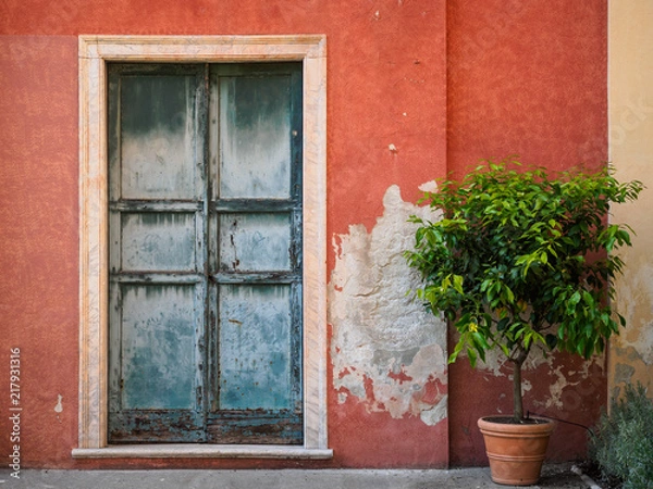 Fototapeta Mediterrane Wand mit Tür und Zitronenbaum