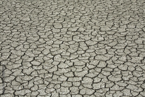 Obraz Drought dry land cracking land.