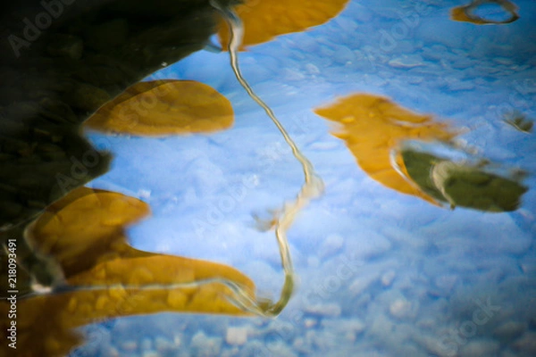 Fototapeta abstract composition with water reflexions