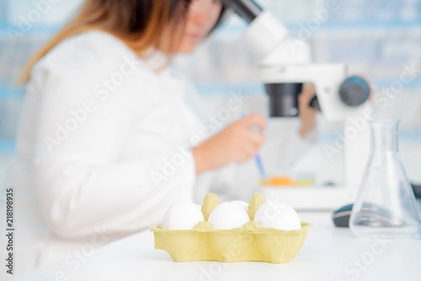 Fototapeta Eggs in quality inspection lab