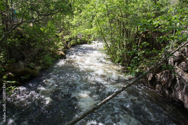 Fototapeta Stormy waterfall in a dense forest