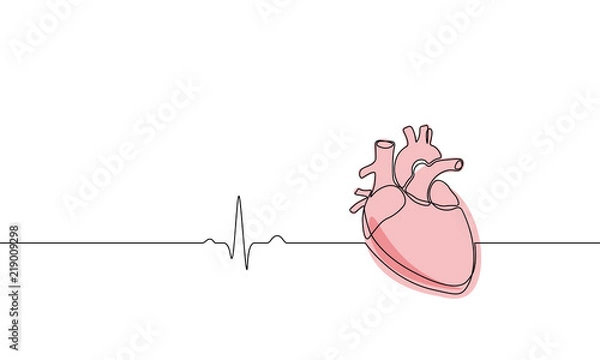 Obraz Single continuous line art anatomical human heart silhouette. Healthy medicine concept design one sketch outline drawing vector illustration