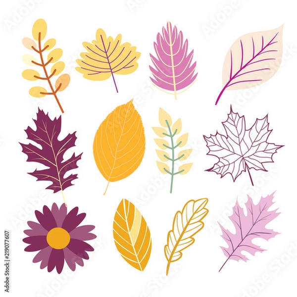 Fototapeta Autumn vector leaves set