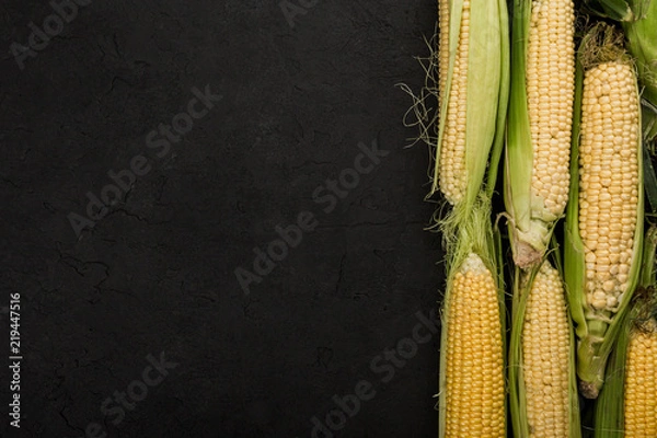 Fototapeta Fresh corn on cobs on a dark stone table. Food concept. Copy space top view