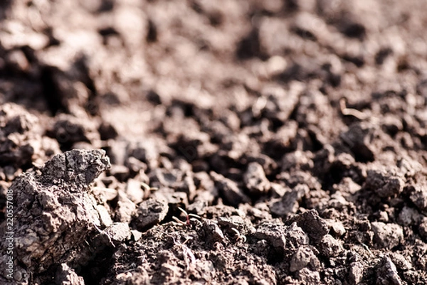 Fototapeta Soil, cultivated dirt.