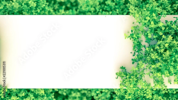 Fototapeta Beautiful summer background with leaves. 3d illustration, 3d rendering.