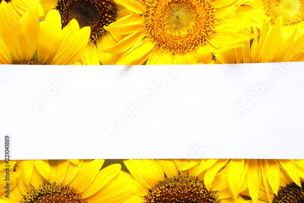 Fototapeta Beautiful bright sunflowers and card as color background