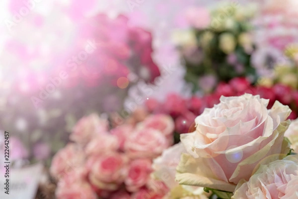 Fototapeta Delicate pink roses. Red and orange roses.