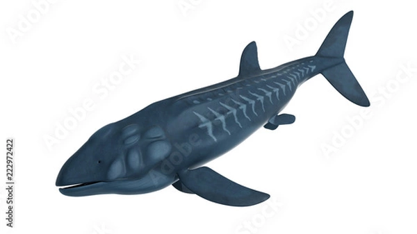 Fototapeta 3d rendered illustration of a Leedsichthys