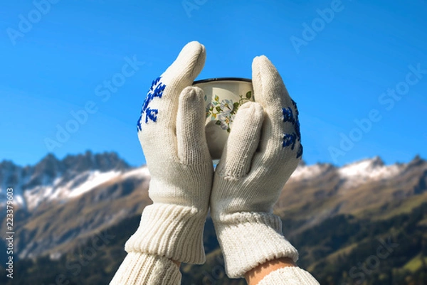 Fototapeta Iron mug with hot tea in female hands in knitted mittens in a winter Alps and forest of national park in Switzerland. 