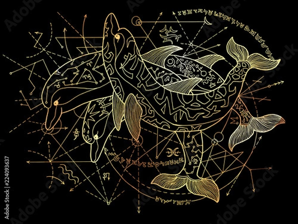 Fototapeta Three golden dolphins with geometric lines on black background. Esoteric, occult, new age and wicca concept, fantasy illustration with mystic symbols and sacred geometry