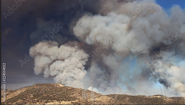 Fototapeta Brush Fire