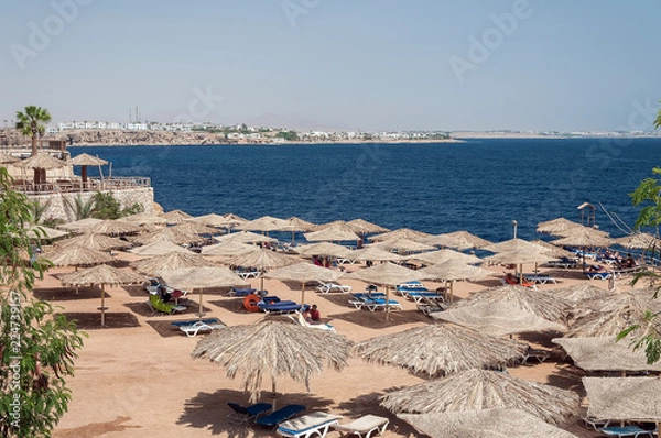 Fototapeta Holidays in Egypt. Summer vacation in Sharm El Sheikh. The Egyptian red sea