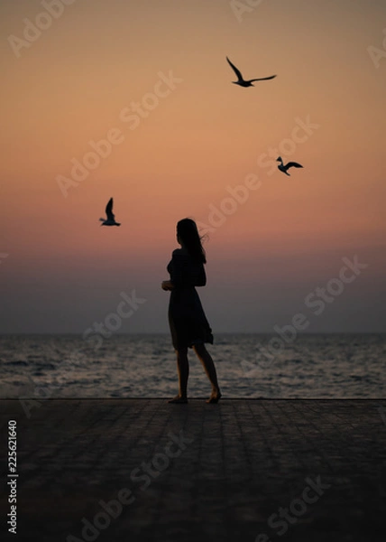 Fototapeta Silhouette of a girl on a sunset background (sunrise) on the sea, horizon line.