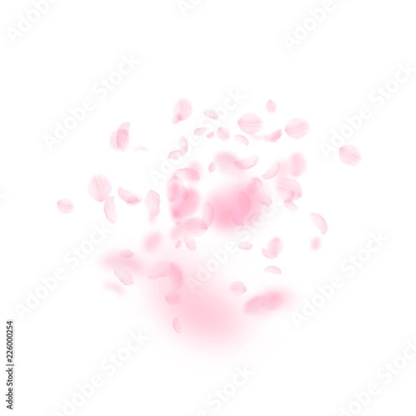 Fototapeta 6729204 Sakura petals falling down. Romantic pink flowers explosion. Flying petals on white square backgroun