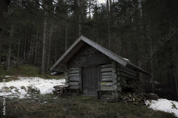 Fototapeta Hunting lodge in austrian forest