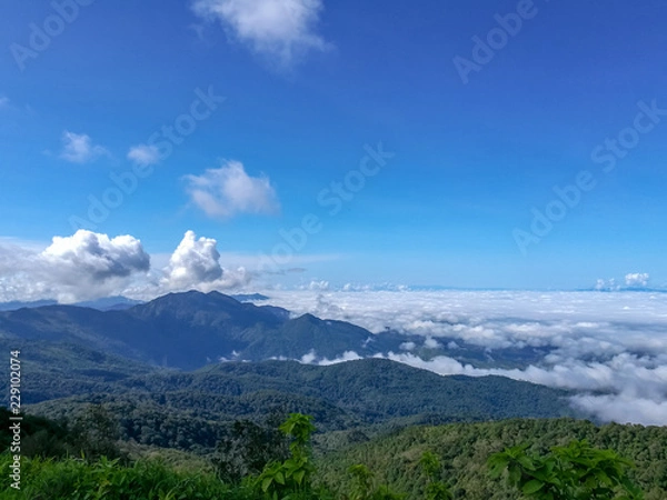 Fototapeta View of Mountains covered by heavy fog at Doi Inthanon National Park  in Chiang Mai Province, northern Thailand