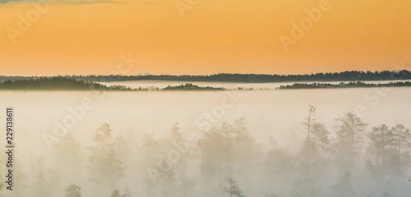 Fototapeta Colorful sunrise at swamp covered in fog. Wooden trail leading through the swamp. Sunshine through the thick mist with tree silhouettes at Cenas Tīrelis in Latvia. Early morning delight. 