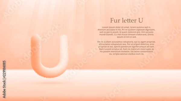 Fototapeta Fur letter U over unbleached silk color gradient studio room background