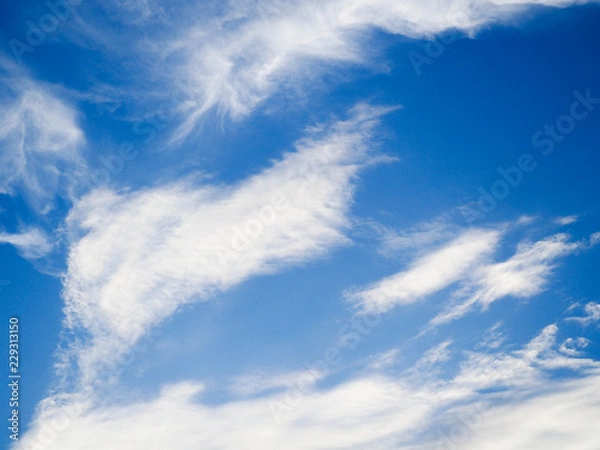 Obraz blue sky background with tiny clouds.