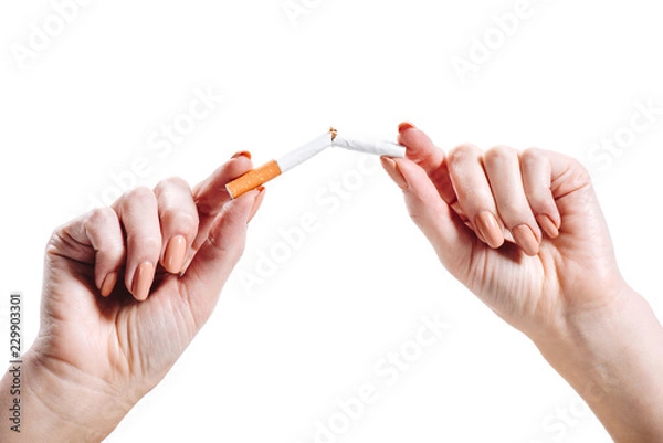 Fototapeta cropped image of girl breaking unhealthy cigarette isolated on white