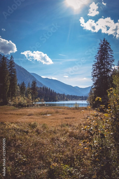 Fototapeta The beauty of Bavaria - Zauberwald