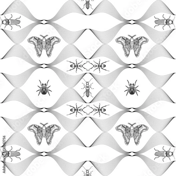 Fototapeta Seamless pattern with hand drawn butterflies. Entomological collection of highly detailed hand drawn butterflies. Retro vintage style.Vector illustration.