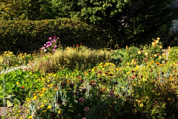 Fototapeta Bauerngarten auf Fischland