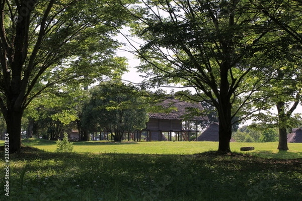 Fototapeta 平塚川添遺跡公園、